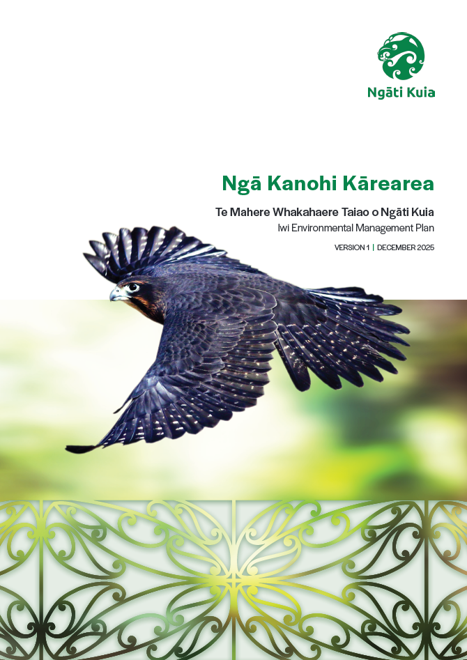 Front Cover IEMP.png