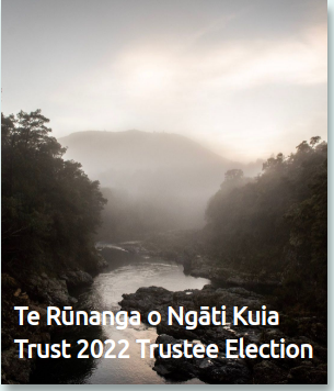 vote_2022.png